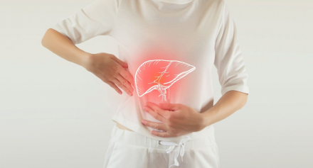 Image representing Liver Health and Beyond: Navigating the Complexities of Liver Diseases