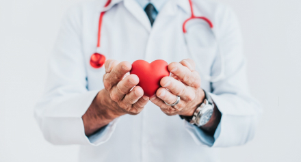 Image representing Unravelling the Mysteries of Heart Disease: Advancements in Cardiology Research and Treatment