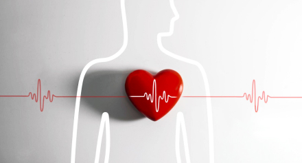 Image representing Atrial Fibrillation: Understanding the Irregular Heartbeat