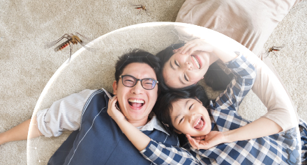 Image representing Dengue Vaccination Package