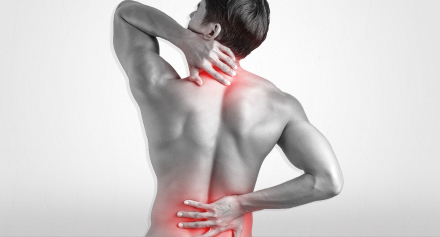 Image representing Fibromyalgia: Understanding the Condition, Its Impact and Management Strategies