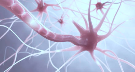 Image representing Exploring Multiple Sclerosis: Early Signs, Diagnosis and Support Systems