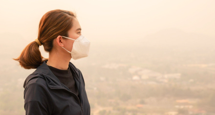 Image representing The Impact of Environmental Factors on Health: Pollution, Allergens and Chronic Disease