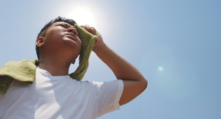 Image representing How to Protect Yourself During Malaysia’s High Temperature Days